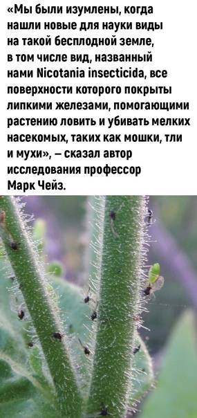 Post photo